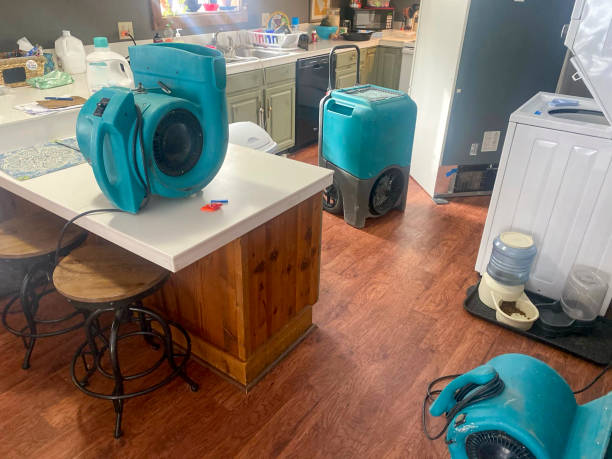 Best Water damage repair service  in Red Corral, CA