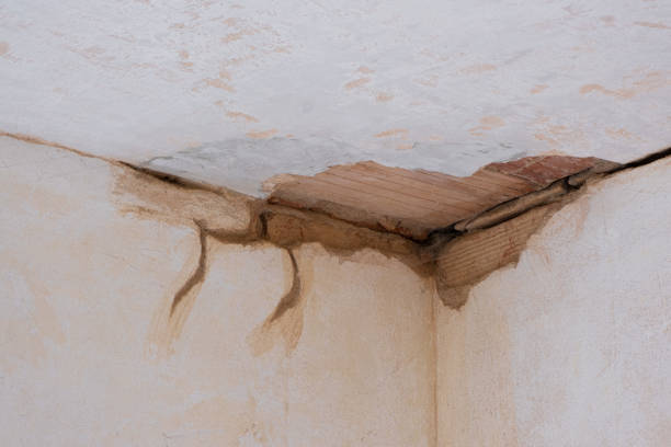 Best Commercial water damage restoration  in Red Corral, CA