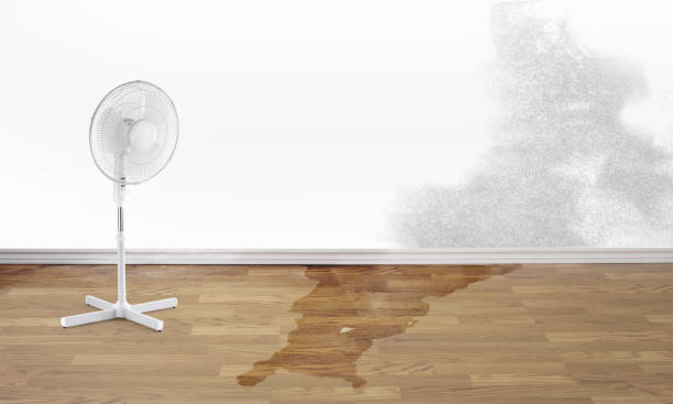 Best Ceiling water damage repair  in Red Corral, CA