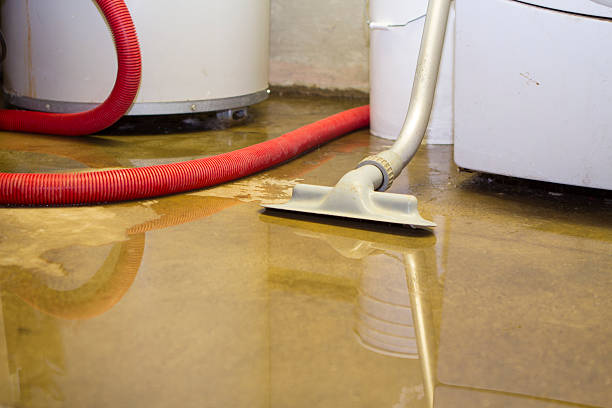 Best Basement water damage restoration  in Red Corral, CA