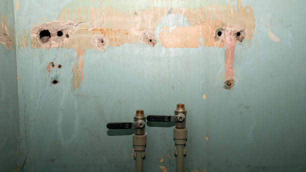 Best Local water damage restoration  in Red Corral, CA