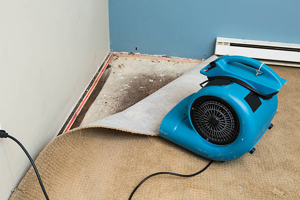 Reliable Red Corral, CA Water damage restoration Solutions